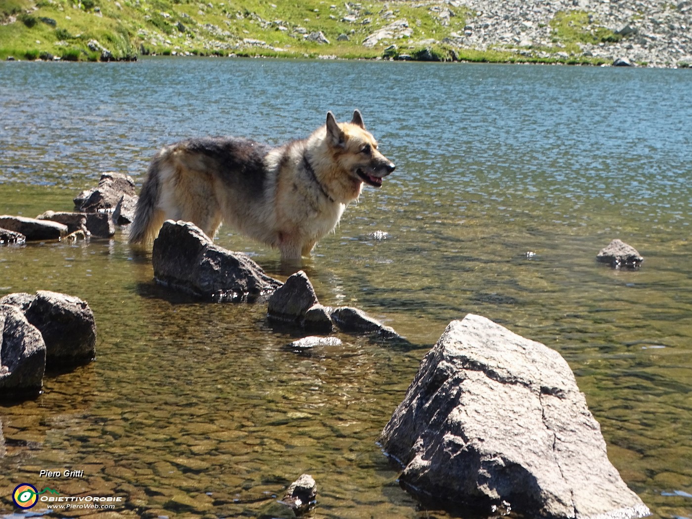 24 Che bello nell'acqua fresca del Lago di sopra.JPG